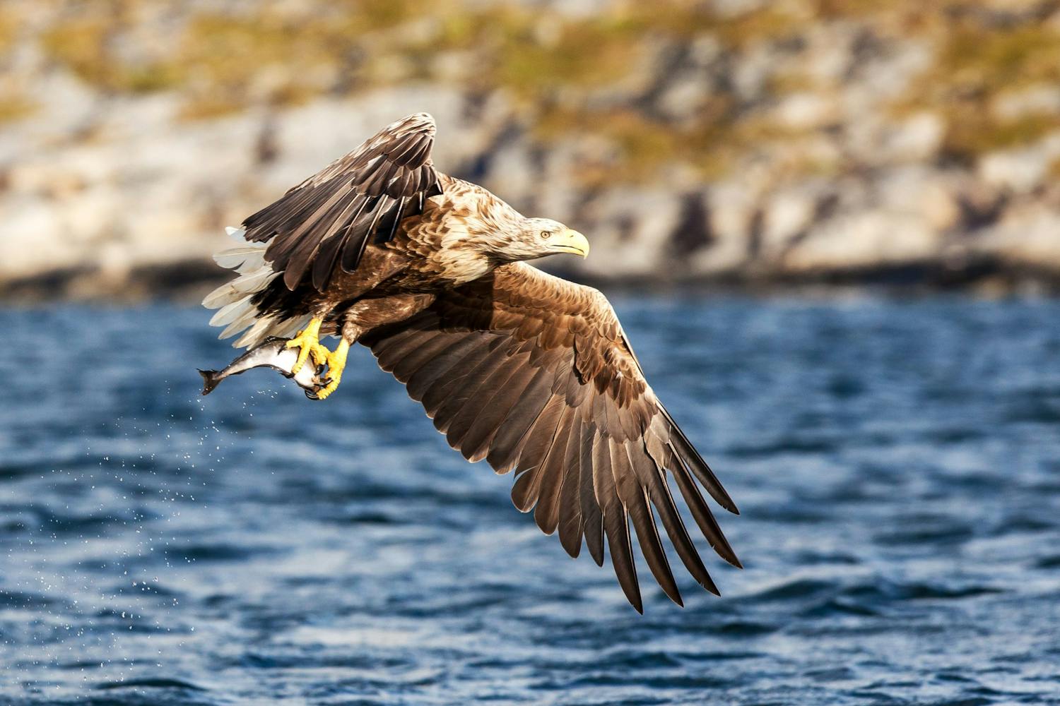 mg 3499 ny Redigerad bild